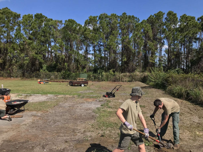 Tree removal