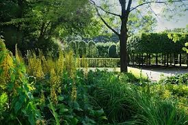 Garden Landscape with Tree