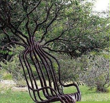 Tree Chair