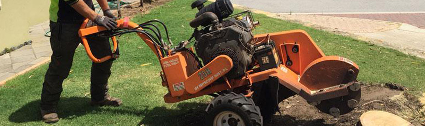 Stump Grinder